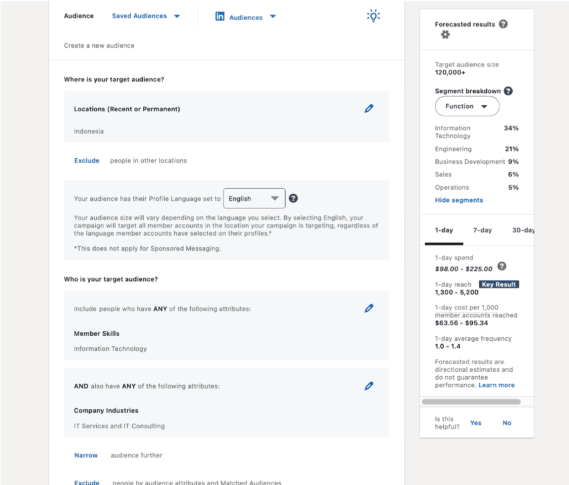 Linkedin Target Audience